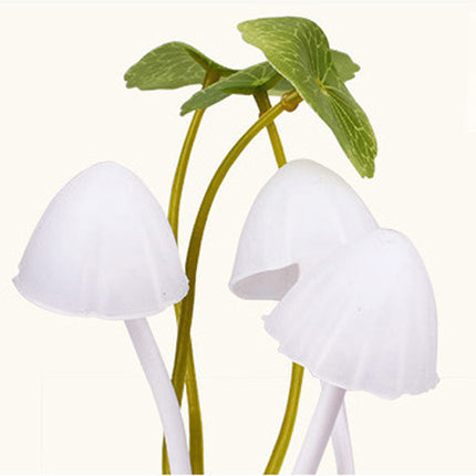 Värikäs sieni-yövalo pistorasiaan