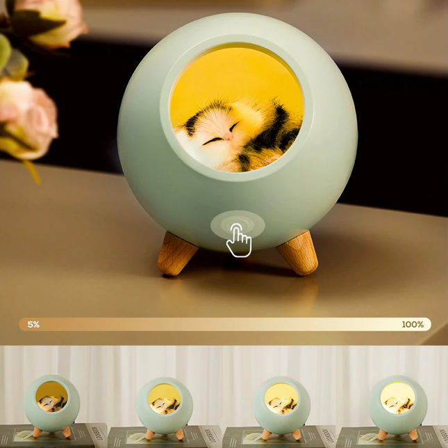 Ladattava yövalo nukkuvalla kissalla